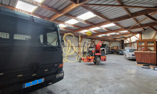 Photo N° 4