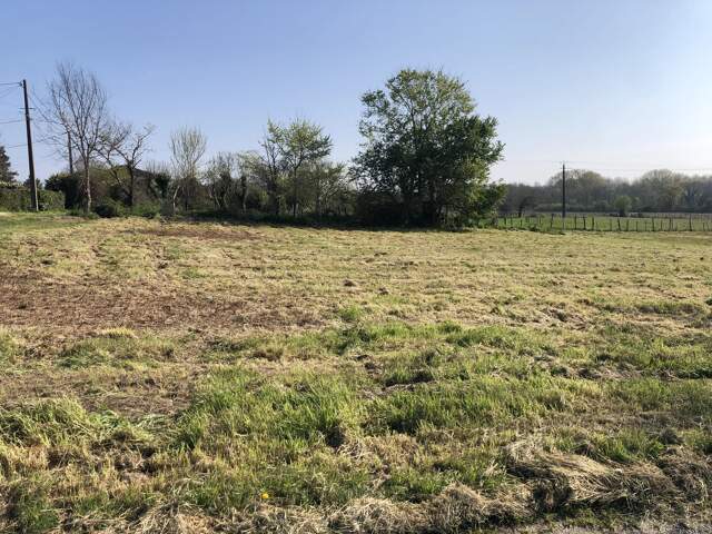 TERRAIN CONSTRUCTIBLE — photo du bien