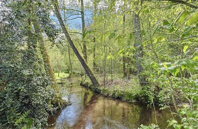 terrain  pièces 3270 m2 à vendre à Dambach (67110)