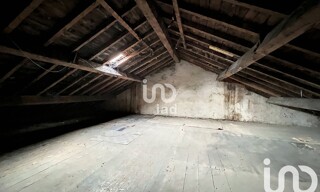 Photo N° 4