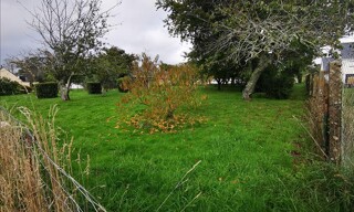 Photo N° 6