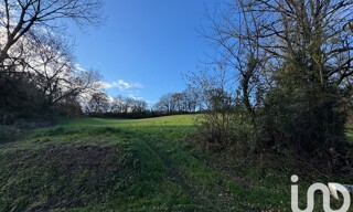 Photo N° 4