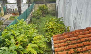 Photo N° 17