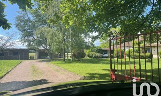 Photo N° 5