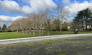 Photo N° 5