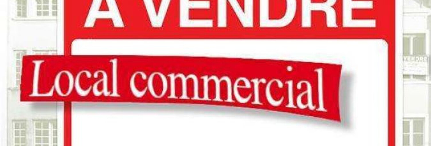 Commerce  44 m² à vendre à Roches-Prémarie-Andillé (86340)