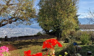 Photo N° 3