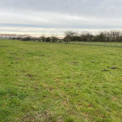 Terrain  75000 €