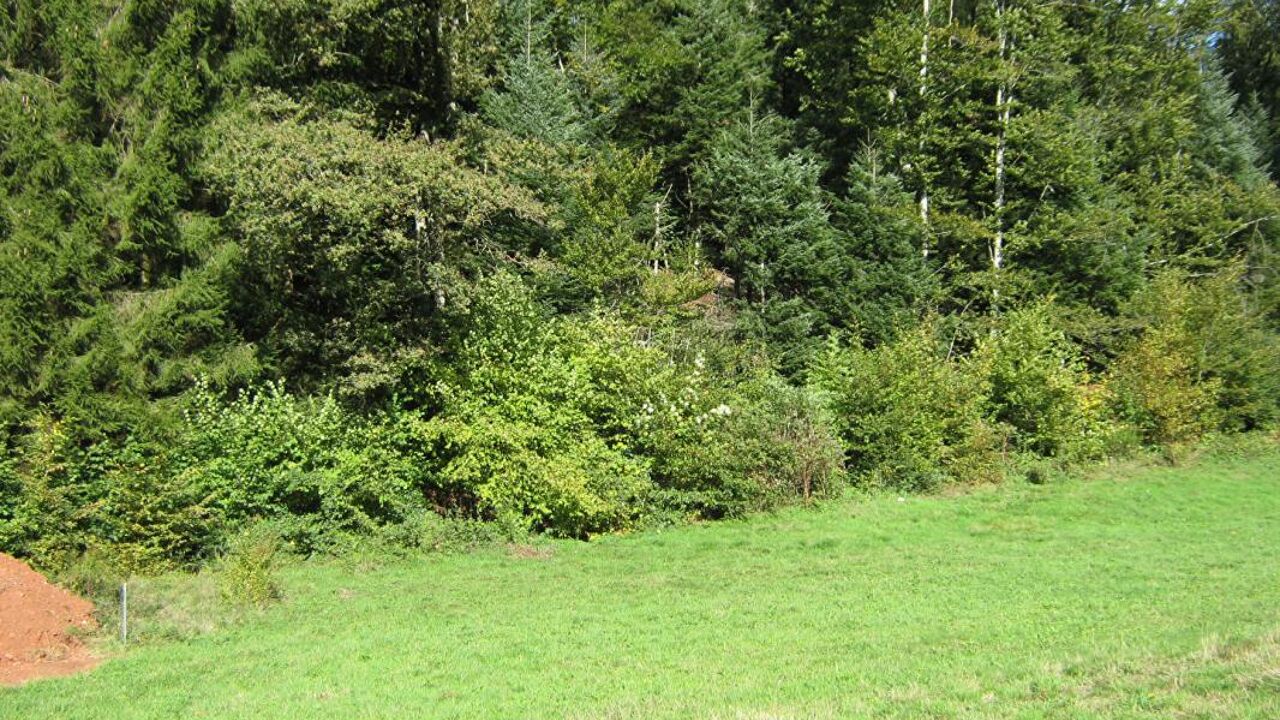 terrain  pièces 800 m2 à vendre à Bethonvilliers (90150)