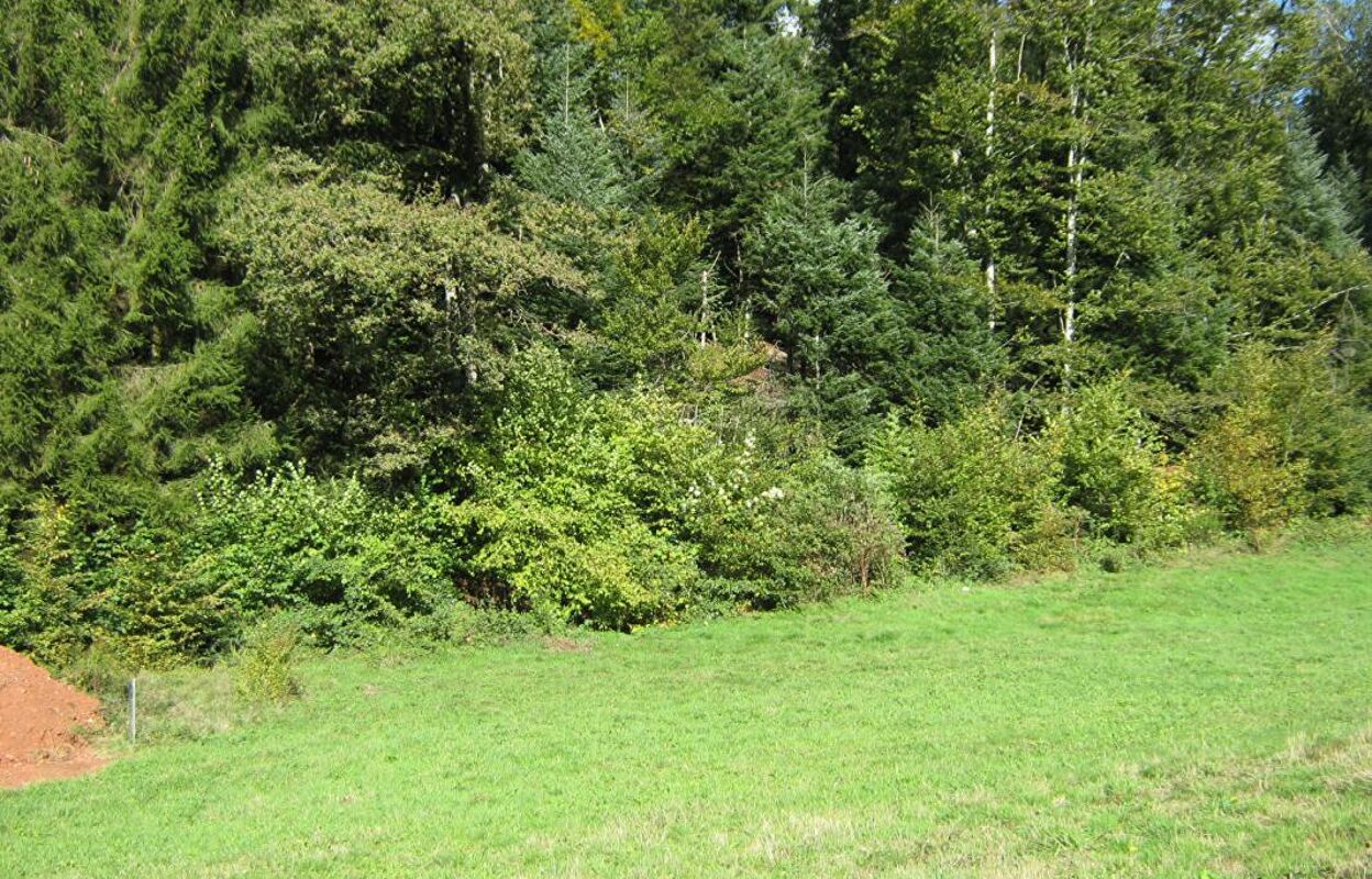 terrain  pièces 800 m2 à vendre à Bethonvilliers (90150)