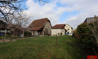 Photo N° 6