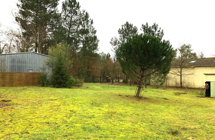 TERRAIN  ECOMMOY — photo 2