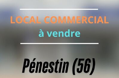 vente commerce 148 000 € à proximité de Damgan (56750)