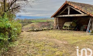 Photo N° 4