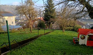 Photo N° 6