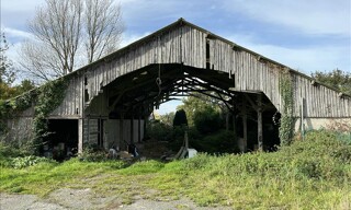 Photo N° 6