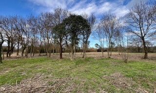 Terrain  2300 m² à vendre à Pierrefeu-du-Var (83390)