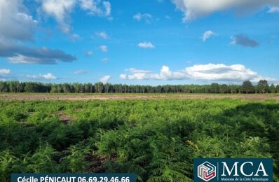 vente terrain 61 520 € à proximité de Pontonx-sur-l'Adour (40465)