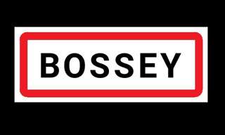 Maison 6 Pièces 116 m² à vendre à Bossey (74160)