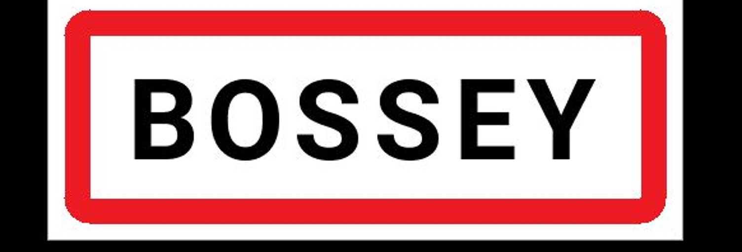 Maison 6 Pièces 116 m² à vendre à Bossey (74160)