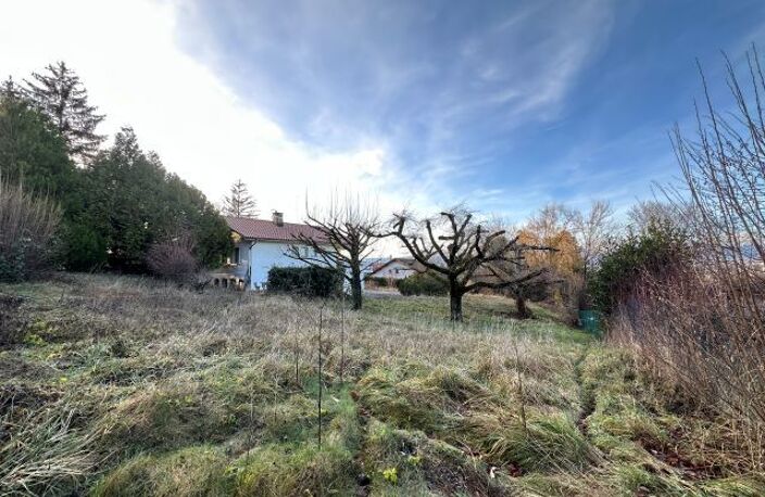 Maisons À Vendre — photo 3