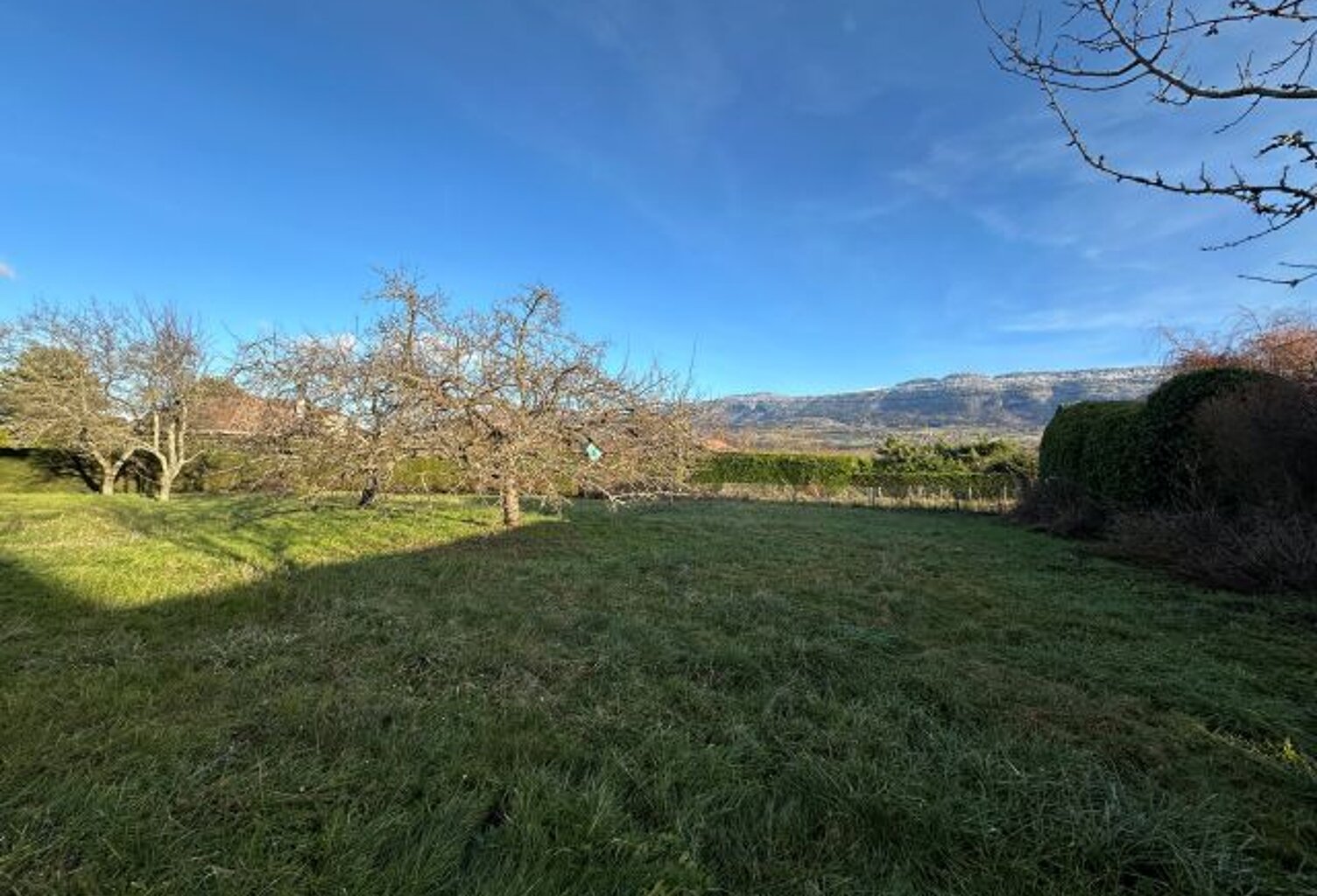 Maisons À Vendre — photo 1