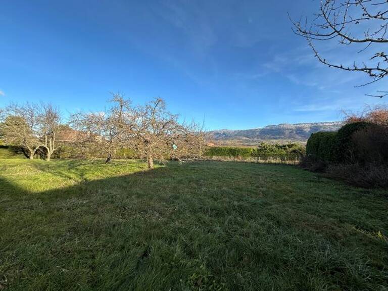 Maisons À Vendre — photo 1