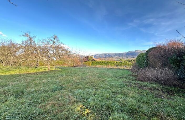 Maisons À Vendre — photo 3