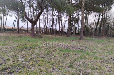 vente terrain 229 000 € à proximité de Le Taillan-Médoc (33320)