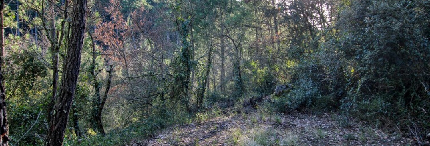 Terrain  55050 m² à vendre à Tourves (83170)