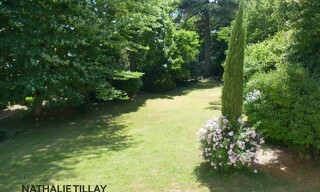 Photo N° 4