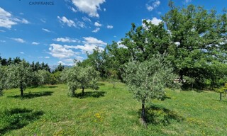 Photo N° 4