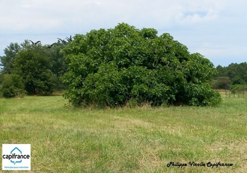 Terrain  à vendre Dolus-d'Oléron 17550