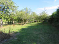 Terrain à bâtir — photo 2