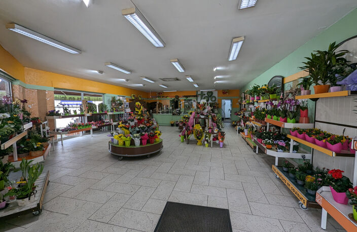 Deux magasins de fleurs — photo 4