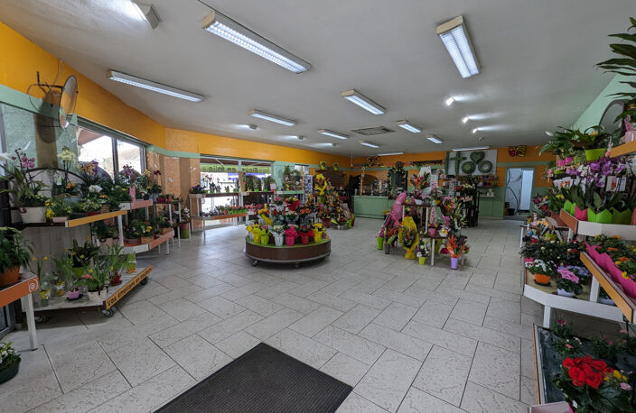 Magasin de fleurs — photo 5