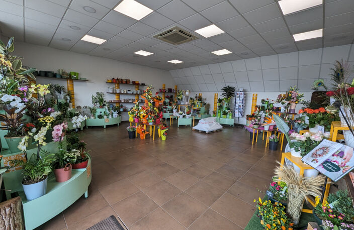 Magasin de fleurs en zone commerciale — photo 3