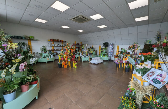 Magasin de fleurs en zone commerciale — photo 4