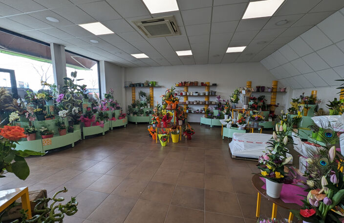 Magasin de fleurs en zone commerciale — photo 5