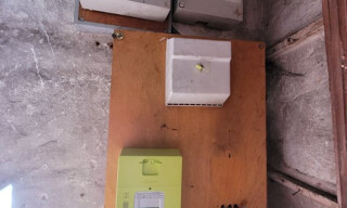 Photo N° 5