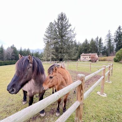 Maison 12 pièces 755000 €