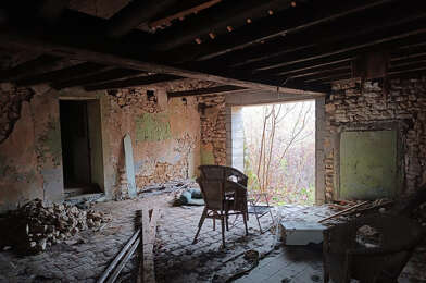 Maison 2 pièces 30000 €