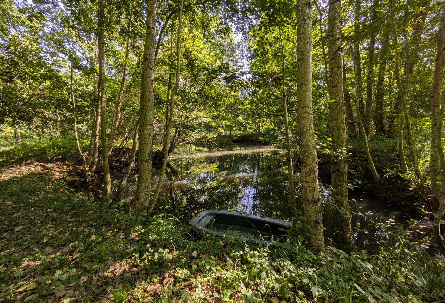 Terrain avec étang — photo 1