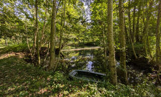 Terrain  3758 m² à vendre à Ferrières-en-Gâtinais (45210)