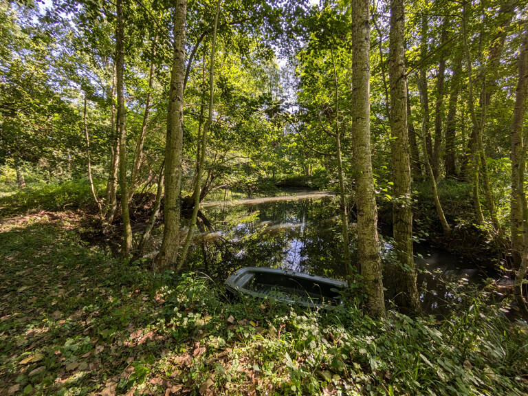 Terrain avec étang — photo 1