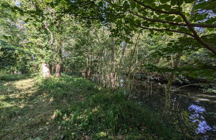Terrain avec étang — photo 3