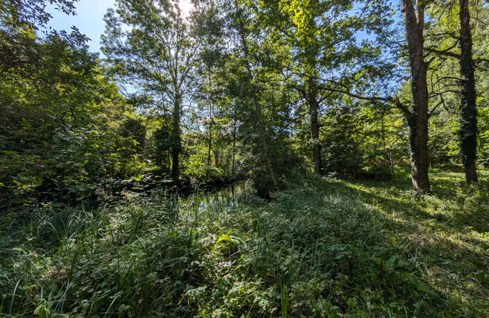 Terrain avec étang — photo 4