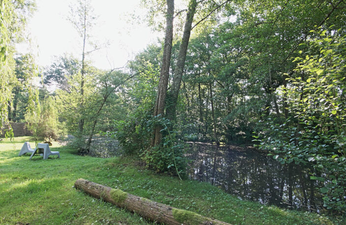 Maison avec cours d'eau — photo 2