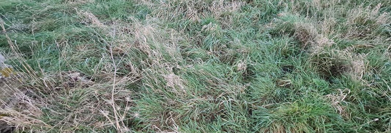 Terrain  916 m² à vendre à Vernon (27200)