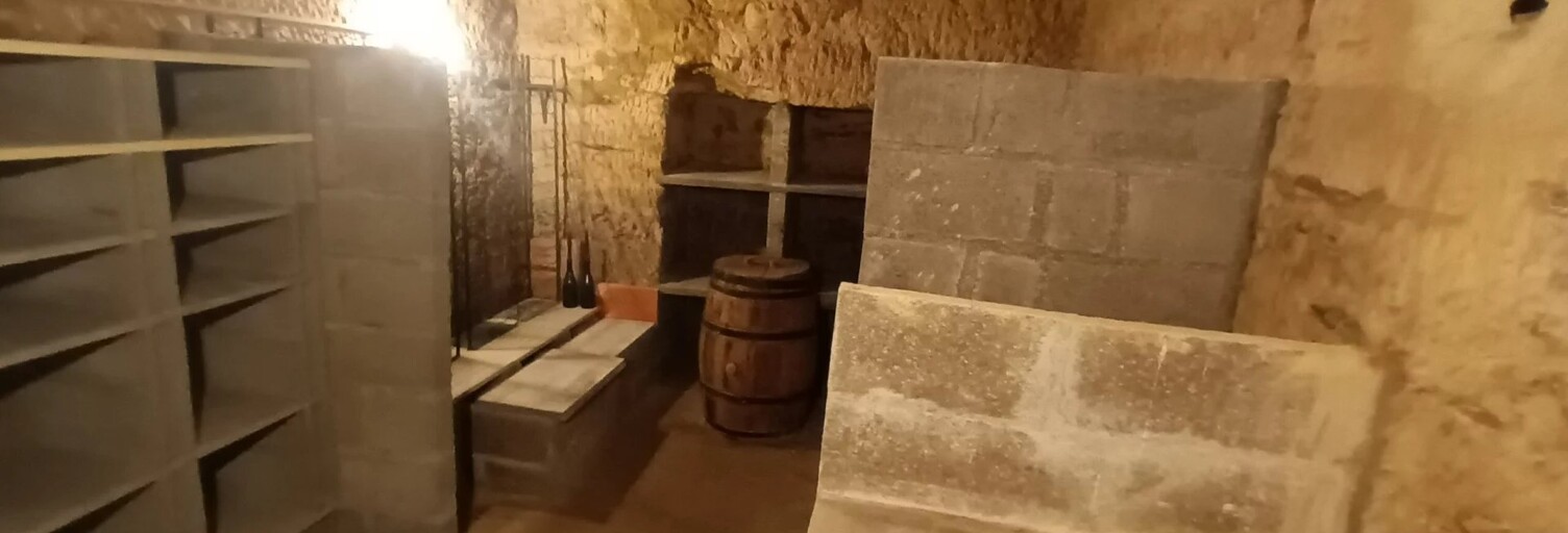 Garage  10 m² à louer à Saint-Avertin (37550)